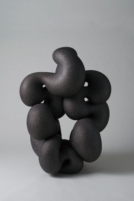 作品「Topological Formation」
